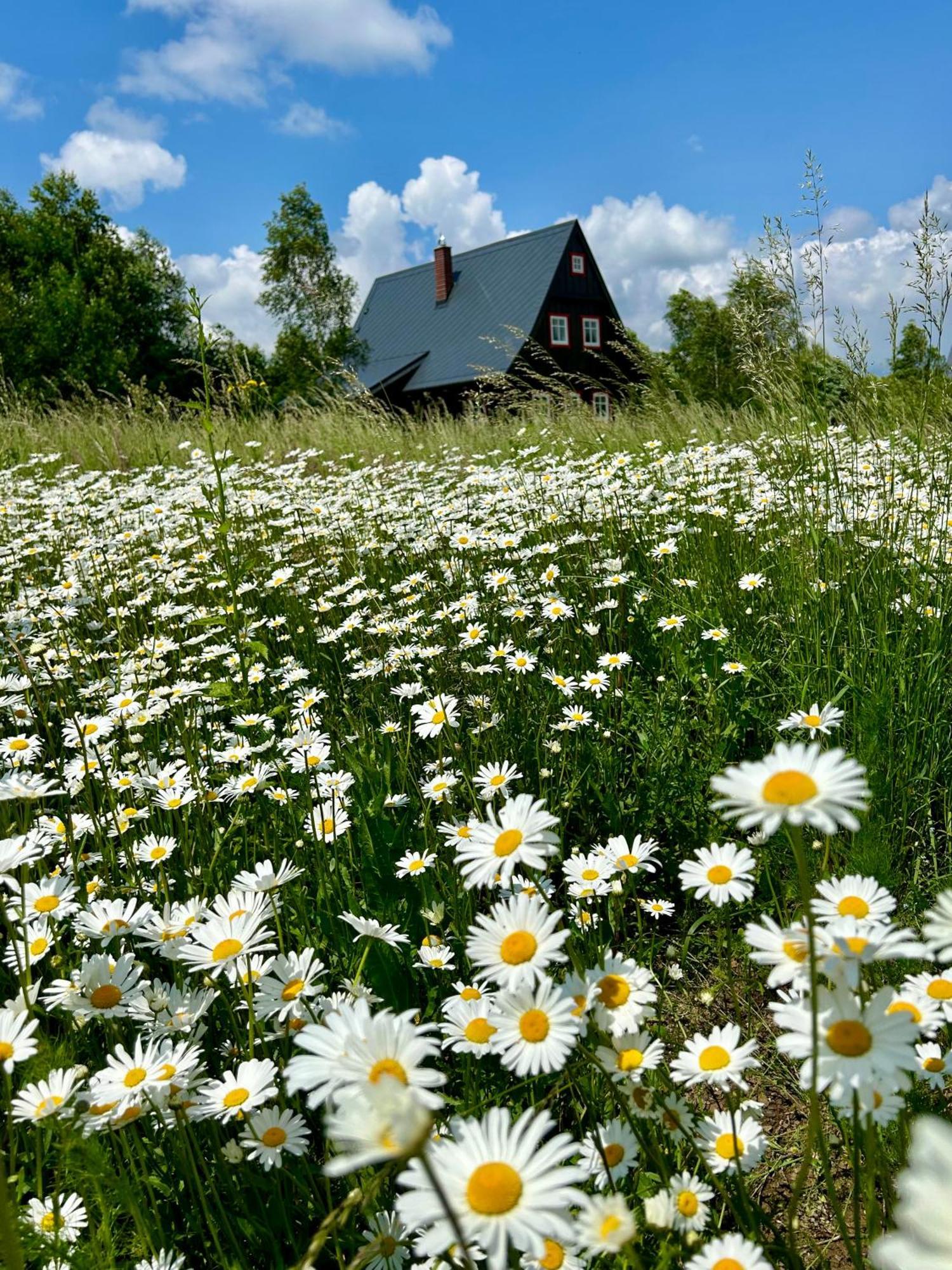 Chata Waliszow Villa Nowy Waliszow Exterior foto